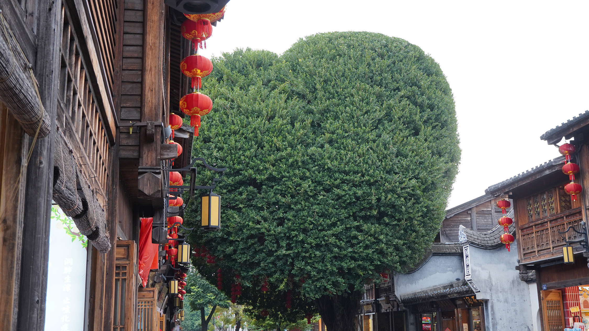 Featured image of post 游记 福建 5天4夜 蜜月旅行